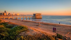 Image source: Andrew Harvard from