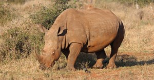 Image source: Magda Ehlers from