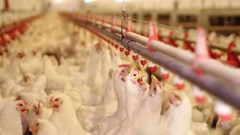 Source: ©123branex via