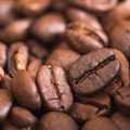 Coffee trade hit hard as prices surge, industry braces for impact