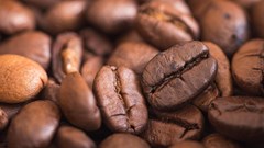Coffee trade hit hard as prices surge, industry braces for impact
