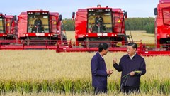 China's agricultural trade friction with the US presents opportunities for other exporters