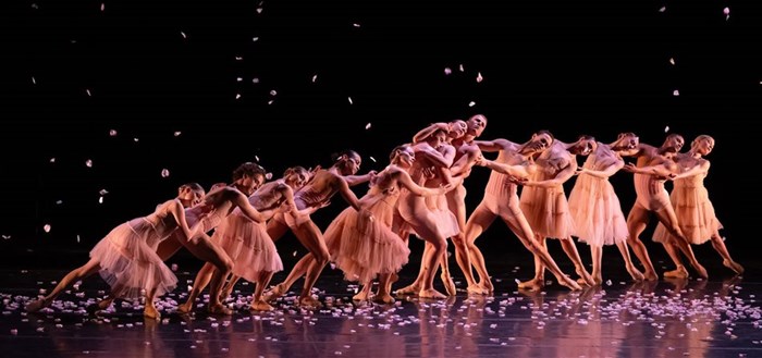 Cape Ballet Africa in Kirsten Isenberg's Reverie. Image Paul Seaby