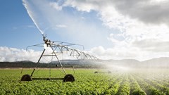 #Budget2025: No fuel levy and sugar tax increases, a positive outcome for agriculture