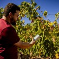 Telkom, partners introduce smart agritech, transforming SA wine