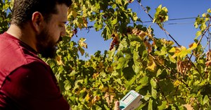 Telkom, partners introduce smart agritech, transforming SA wine