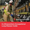#WorldTBDay: Minerals Council SA launches multiple language Ex-Mineworkers Occupational Lung Disease Guide