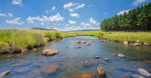 Celebrating World Water Day: How private landowners are conserving South Africa&#x2019;s wetlands