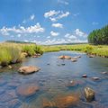 Celebrating World Water Day: How private landowners are conserving South Africa’s wetlands