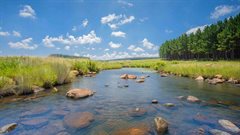 Celebrating World Water Day: How private landowners are conserving South Africa&#x2019;s wetlands