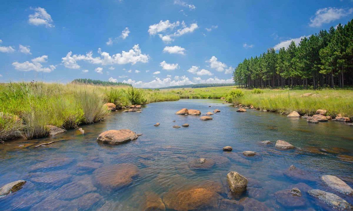 Celebrating World Water Day: How private landowners are conserving South Africa’s wetlands