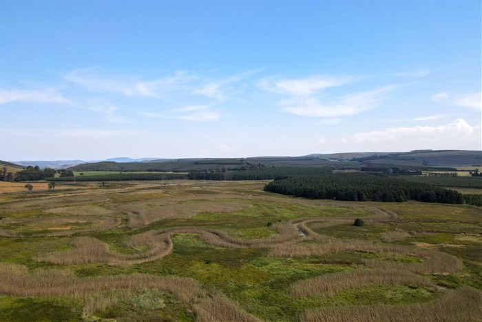 Celebrating World Water Day: How private landowners are conserving South Africa’s wetlands