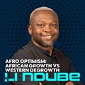 RAPT BizTrendsTV: Li Ndube on Afro-optimism - African growth vs Western degrowth