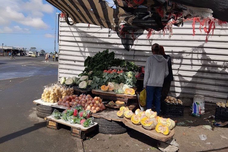 Vegetable traders are among the informal businesses in Cape Town’s townships targeted by extortionists. Photo: Sandiso Phaliso.