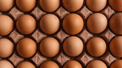 CompCom releases Essential Food Pricing Monitoring report