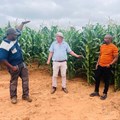 Eastern Cape blended finance scheme supports 30 agribusinesses