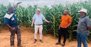 Eastern Cape blended finance scheme supports 30 agribusinesses