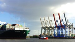 Source: wirestock via