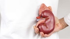 Source: Shutterstock.