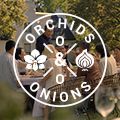 #OrchidsandOnions: SA Tourism swaps celebrity power for storytelling in new ad