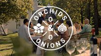 #OrchidsandOnions: SA Tourism swaps celebrity power for storytelling in new ad