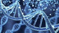 Source: Institute for Molecular Bioscience.