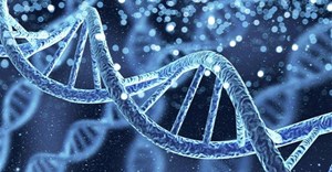 Source: Institute for Molecular Bioscience.