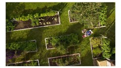 Redefining work: the environmental impact of the hybrid workforce