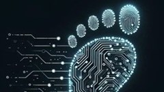 Think before you click: 4 pillars of digital responsibility