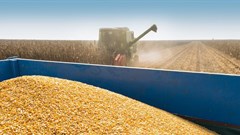 South Africa as G20 leader can take action on Africa&#x2019;s food supply: 4 ways to make a difference