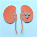 Preventing and managing chronic kidney disease, by Medshield