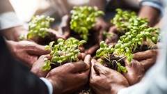 Steenhuisen to host G20 agriculture, food security talks in Durban