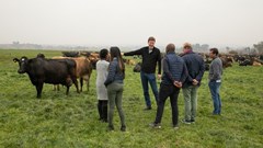 Danone Southern Africa receives B Corp Certification