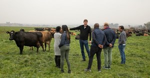 Danone Southern Africa receives B Corp Certification