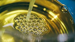 How falling oil prices could impact South Africa&#x2019;s HoReCa sector