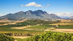 Stellenbosch restaurants shine at 2025 Eat Out Awards