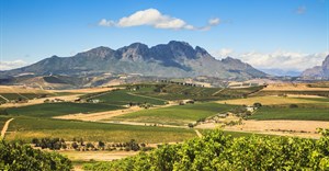 Stellenbosch restaurants shine at 2025 Eat Out Awards