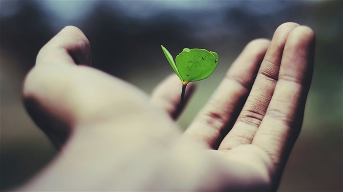 Small but mighty: How SMEs are leading the ESG revolution
