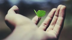 Small but mighty: How SMEs are leading the ESG revolution