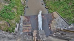 Image source: El Capra from