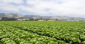 Western Cape renews MoUs to support new farmers