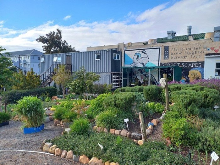 One of the Streetscapes gardens in the city centre.