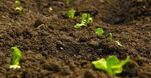 Source: edisonjimenez10 via