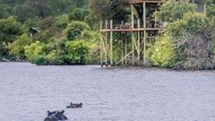 Tintswalo Collection to open new luxury villa in Klaserie Private Nature Reserve