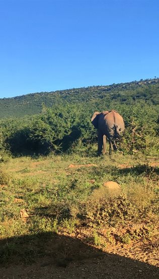 Etali Safari Lodge and Black Rhino Lodge staff receive on-site training from Sam Hospitality