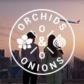 #Orchids&Onions: Qantas vs Qatar &#x2013; which airline wins the ad game?