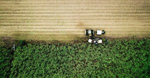 Government eyes sugar sector exemption to boost local supply