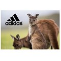 Adidas will no longer use kangaroo leather in its shoes