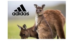 Adidas will no longer use kangaroo leather in its shoes