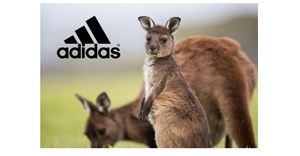 Adidas will no longer use kangaroo leather in its shoes